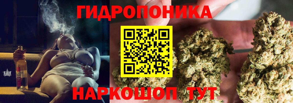 Шишки марихуана конопля Асино